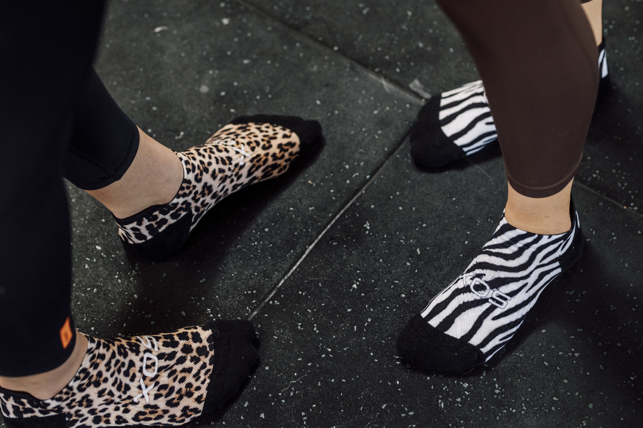 Sox Wild animals tab combo - Bild 3