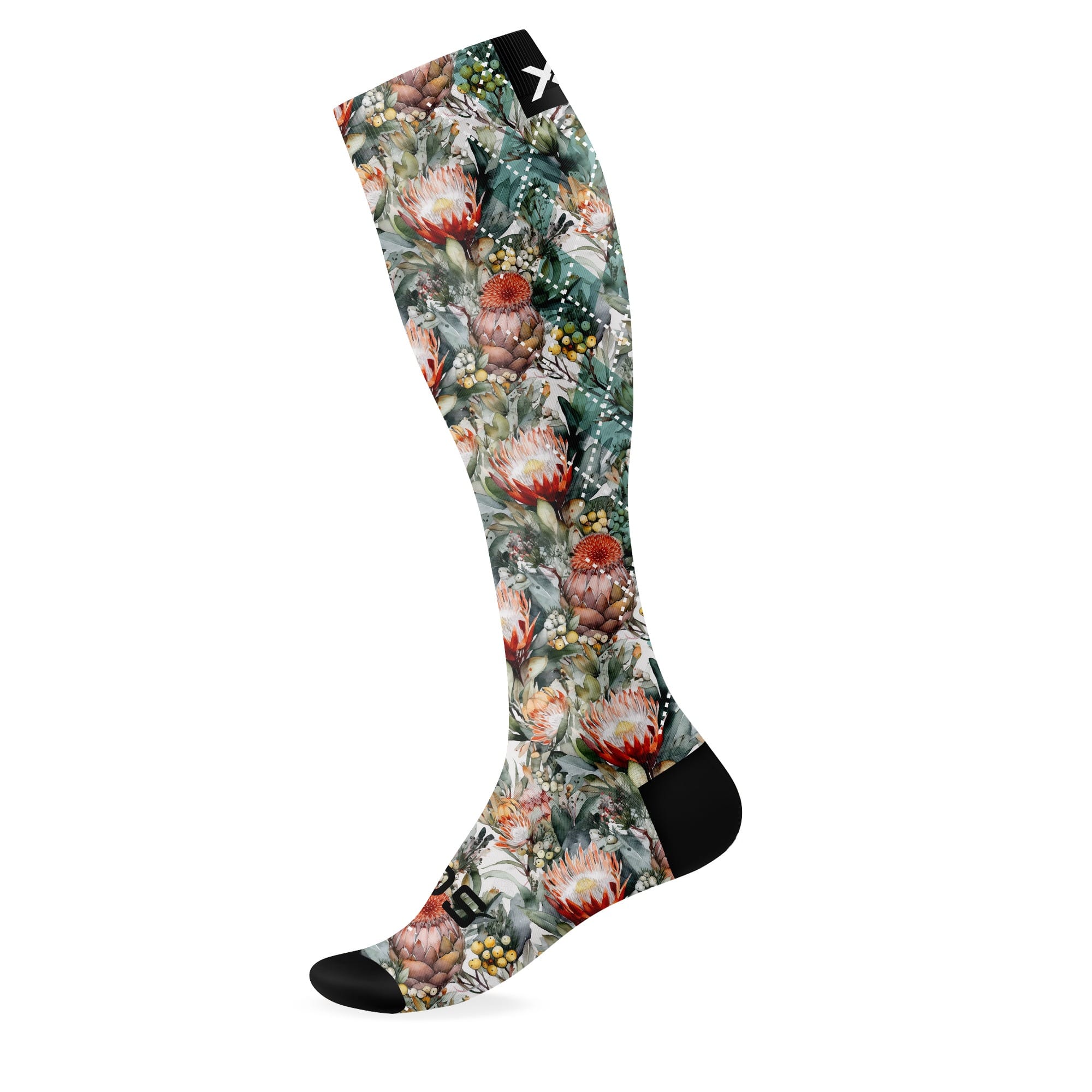 Sox Protea Garden Kompression